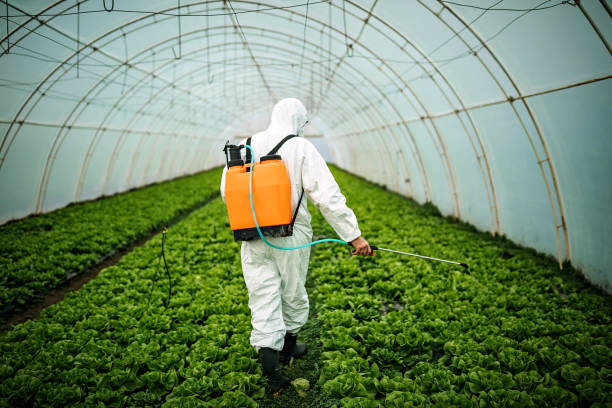 Best Pest Prevention Services  in Lake Mawk, OH