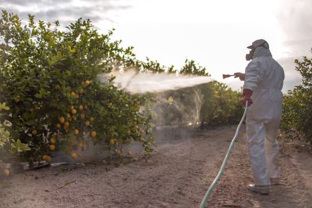 Best Pest Inspection Near Me  in Lake Mawk, OH
