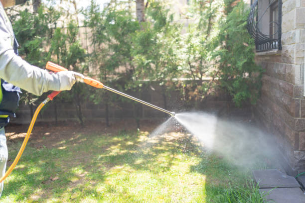 Best Local Pest Control Services  in Lake Mawk, OH